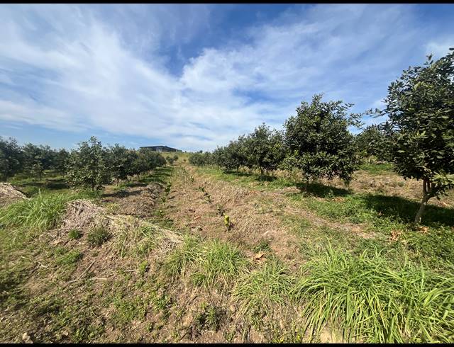 26,200M² VACANT LAND FOR SALE IN FAIRVIEW ESTATES